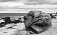 By the Shore 35